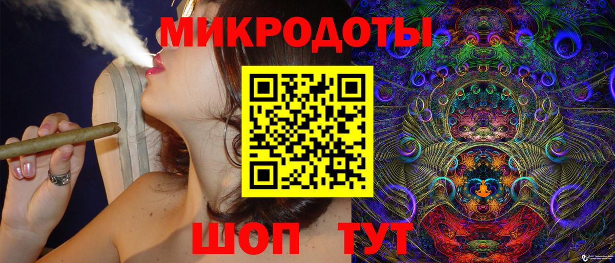 Галлюциногенные грибы Psilocybe Нягань
