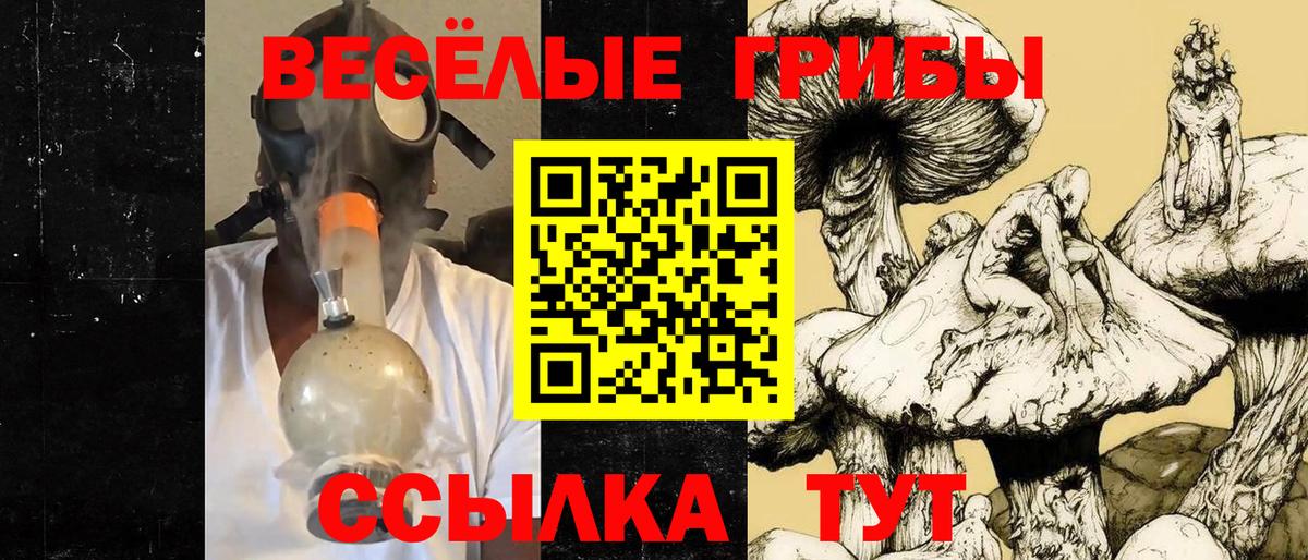 Нягань  Псилоцибиновые грибы ЛСД  купить наркотики цена  Вход с VPN 